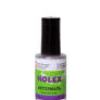 HOLEX/ХОЛЕКС Краска с кисточкой Daewoo GAN Swichblade Silver 8мл 2758