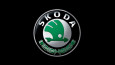  Кисточка с краской для ремонта сколов и царапин для автомобилей SKODA/ ШКОДА все цвета