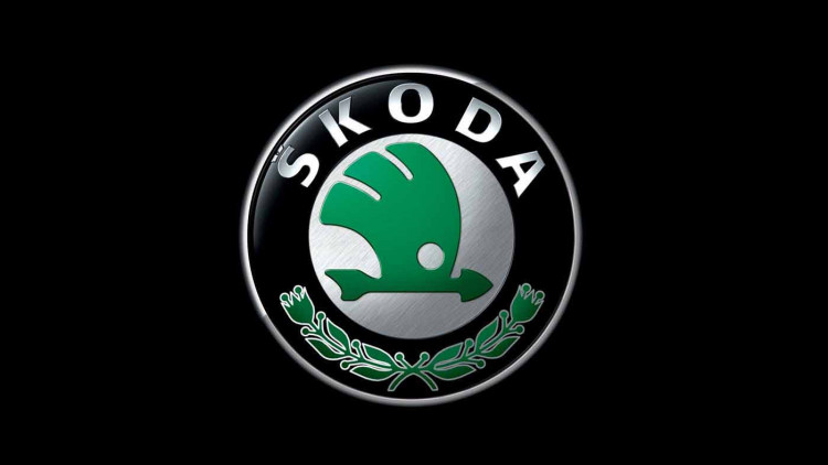  Кисточка с краской для ремонта сколов и царапин для автомобилей SKODA/ ШКОДА все цвета